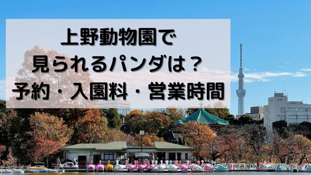 上野動物園で見られるパンダは？予約・入園料・営業時間