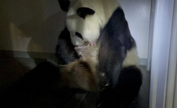 画像1