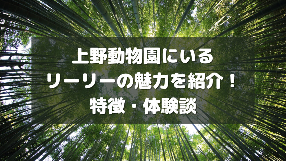 上野動物園にいるリーリーの魅力を紹介!特徴・体験談