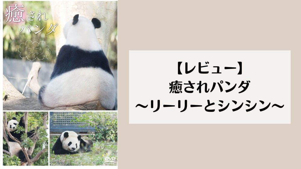 【レビュー】癒されパンダ~リーリーとシンシン~