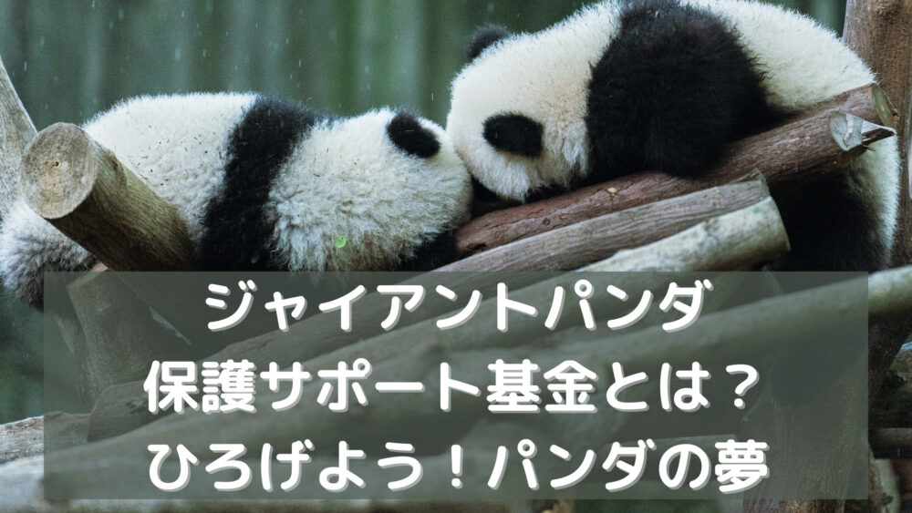 ジャイアントパンダ保護サポート基金とは？ひろげよう！パンダの夢