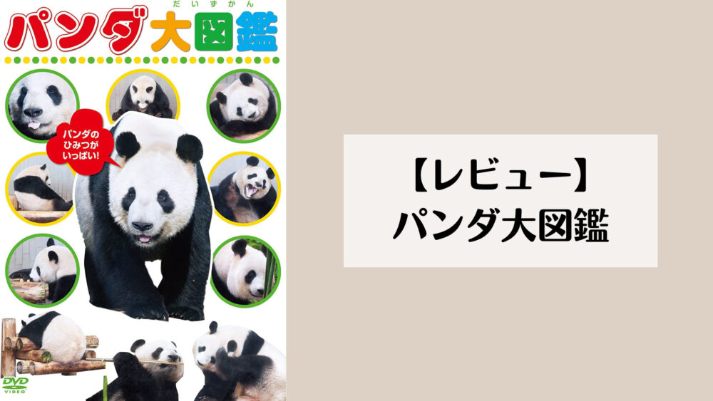 【レビュー】パンダ大図鑑