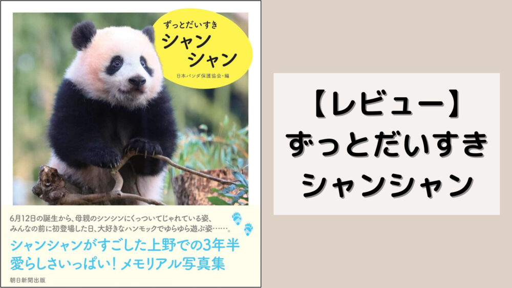 豪華ラッピング無料 朝日新聞 パンダ シャンシャン