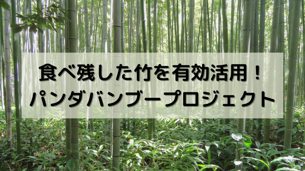 食べ残した竹を有効活用！パンダバンブープロジェクト