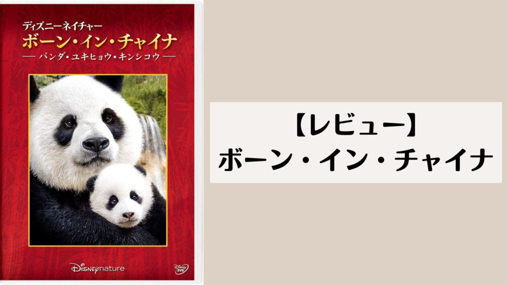 【レビュー】ボーン・イン・チャイナ