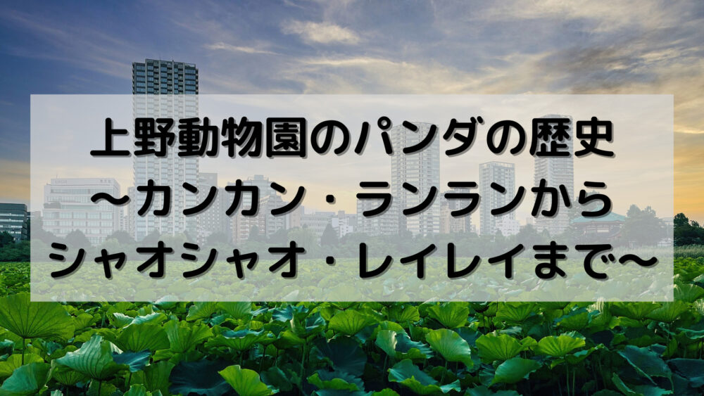 上野動物園のパンダの歴史～カンカン・ランランからシャオシャオ・レイレイまで～