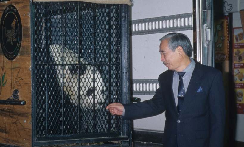画像8