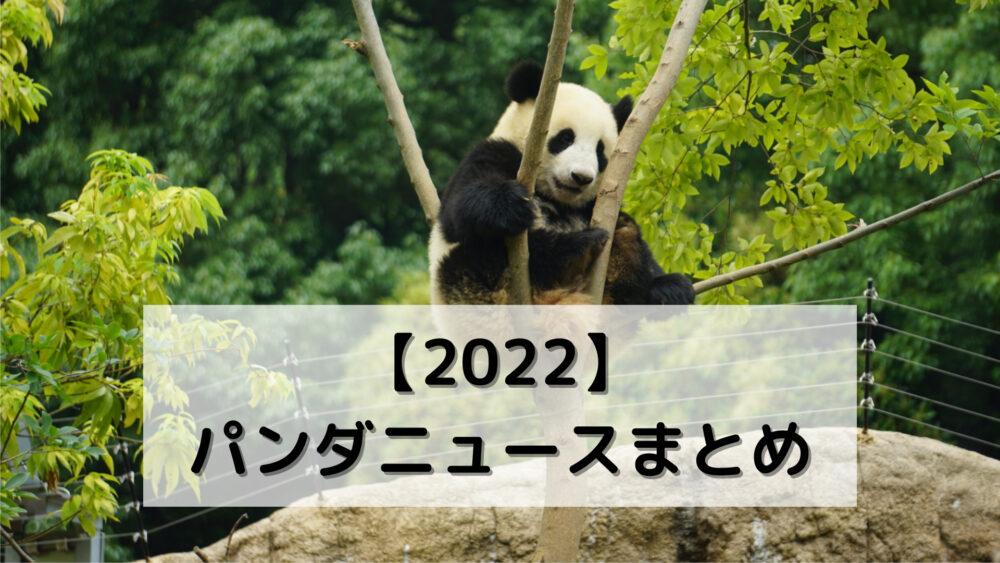 【2022】パンダニュースまとめ