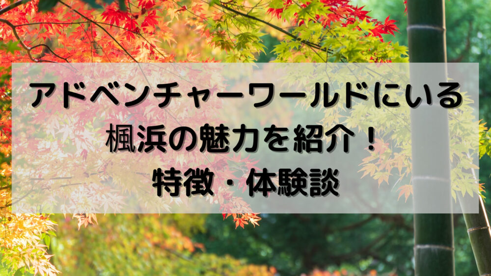 アドベンチャーワールドにいる楓浜の魅力を紹介!特徴・体験談