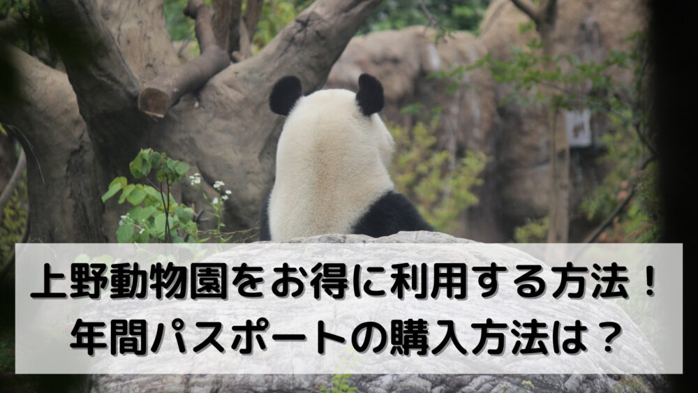 上野動物園をお得に利用する方法！年間パスポートの購入方法は？