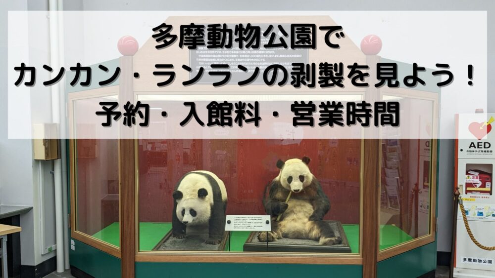 多摩動物公園でカンカン・ランランの剥製を見よう！予約・入館料・営業時間