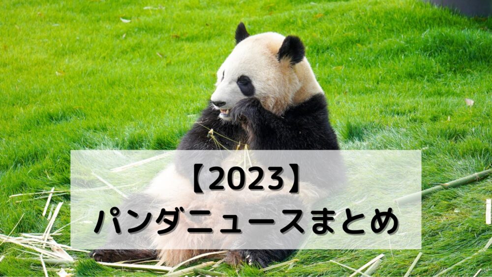 【2023】パンダニュースまとめ