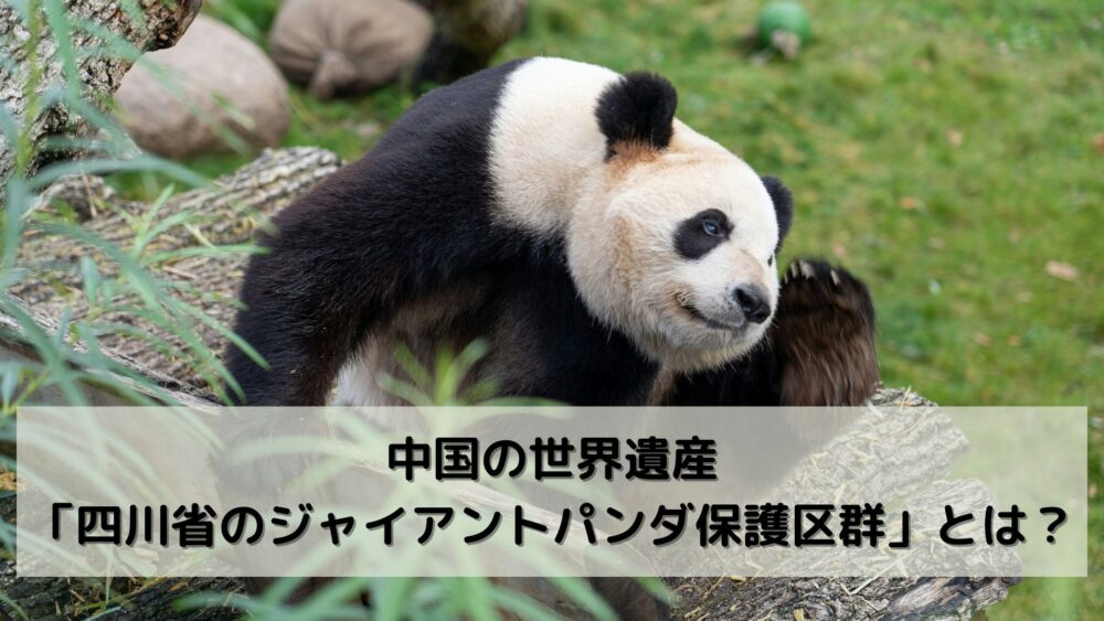 中国の世界遺産「四川省のジャイアントパンダ保護区群」とは？