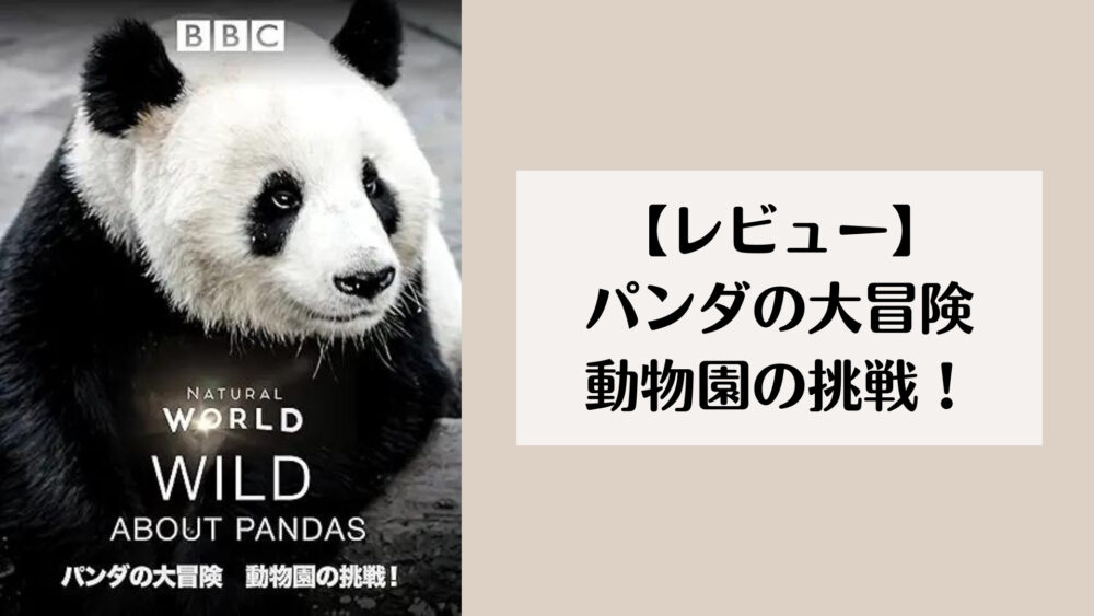 【レビュー】パンダの大冒険 動物園の挑戦!