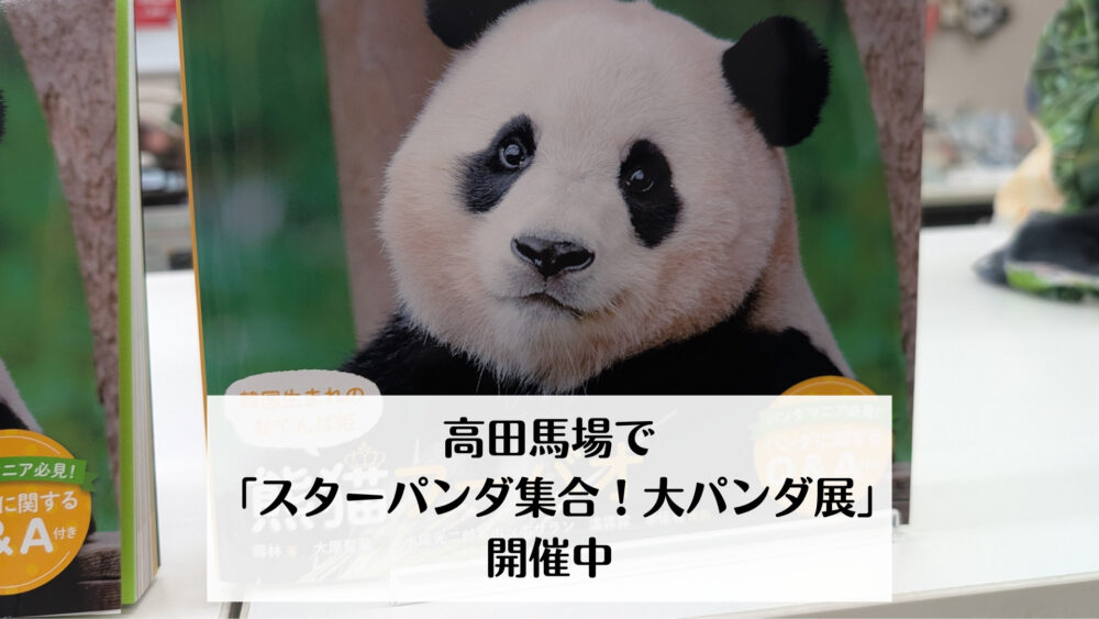 高田馬場で「スターパンダ集合!大パンダ展」開催中